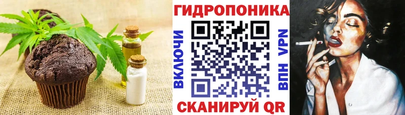 Canna-Cookies марихуана  Купить закладки  Шадринск 